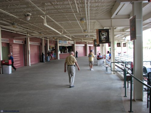 Arthur W Perdue Stadium Delmarva Shorebirds Official BPG Guide 